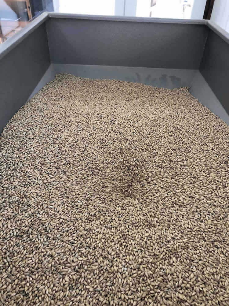 Cervezas La Americana